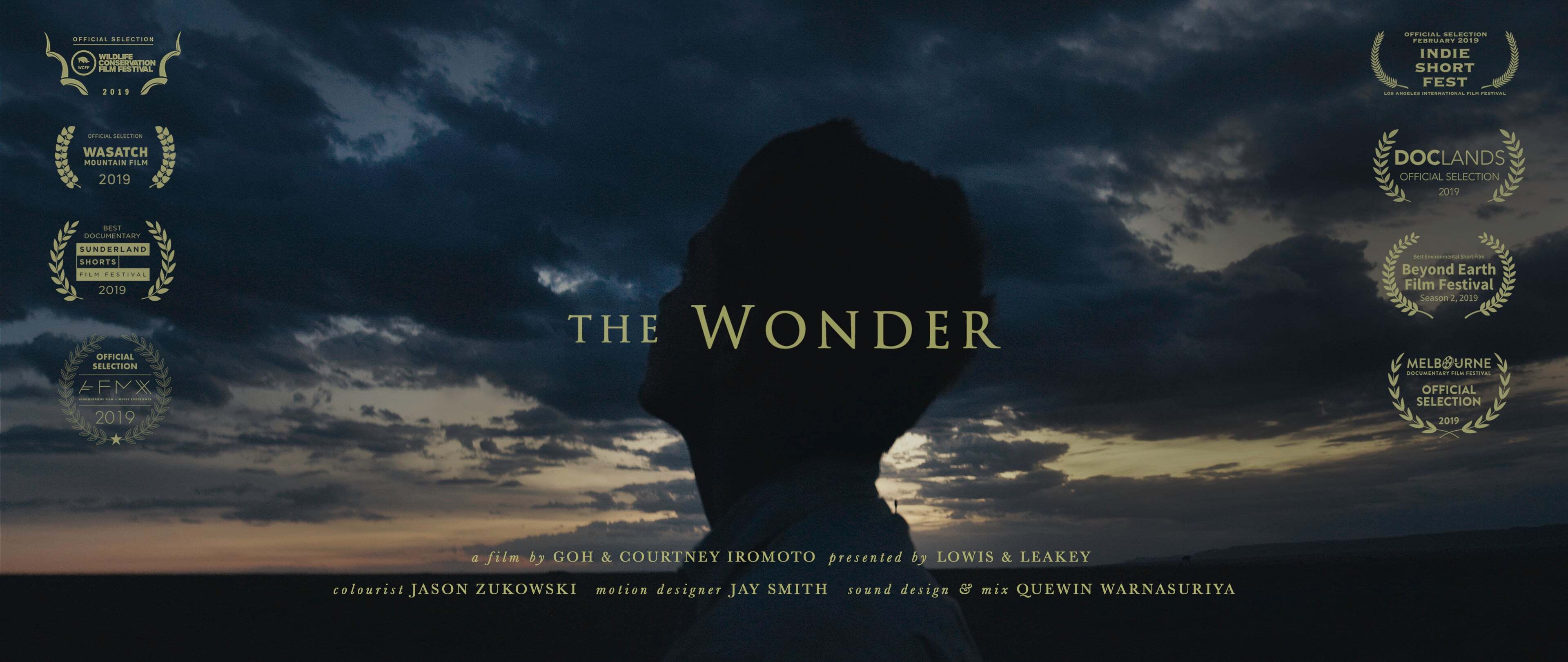 THE-WONDER_Cover.jpg