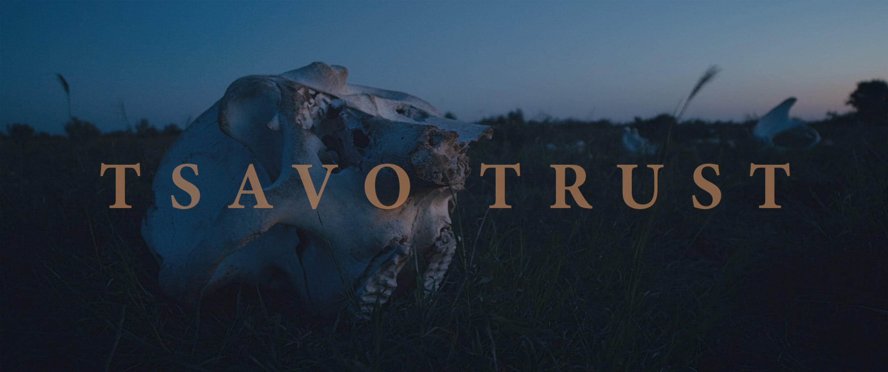 TSAVO-TRUST_Cover.jpg